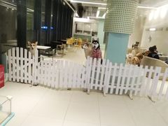 -怪兽屋·羊驼·猫咖·狗咖(俊华广场店)