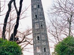 -上海佘山国家森林公园天马山园