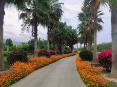 -亚龙湾国际玫瑰谷