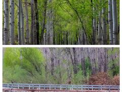 -百里山水画廊