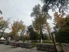 -莲湖公园
