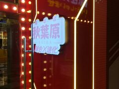 -天天玩X秋葉原日系动漫游戏中心