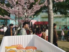 -顾村公园3号门停车场