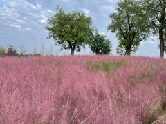 -汉长安城未央宫国家考古遗址公园