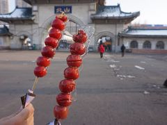 -北山公园