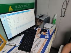 -半岛宠物医院24小时(科华中路店)