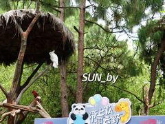 -云南野生动物园