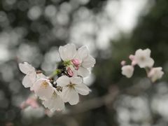 -黄兴公园