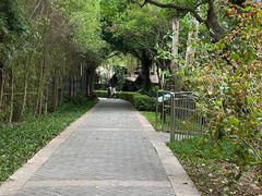 -福田红树林生态公园