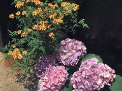 -肴约·花园式餐厅(湖里店)