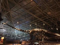 -世界恐龙谷景区