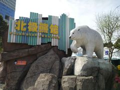 -海合安成都极地海洋公园