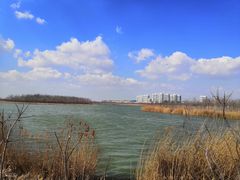 -天津东丽湖风景区