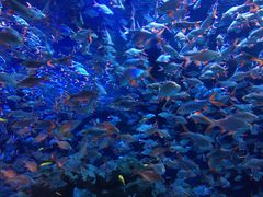 -成都浩海立方海洋公园