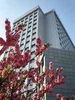 -北京邮电大学