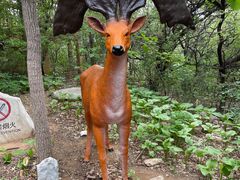 -周口店北京人遗址公园