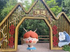 -海南霸王岭国家森林公园