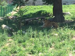 -西安秦岭野生动物园