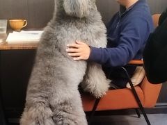 -沏点Trattoria意大利餐厅(新街口店)
