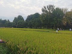 -北坞公园