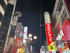 -道顿堀