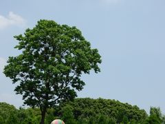 -同里国家湿地公园