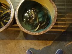 -可可大虾武汉土菜大排档(万松园1店)