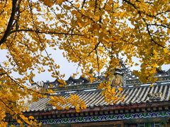 -佛荫寺
