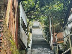 -鲤鱼塘农家山庄