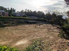 -泉州海丝野生动物世界