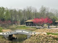 -张家湾公园