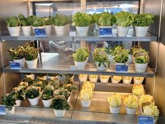 -海底捞大排档火锅(打浦路店)