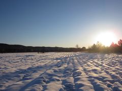-北极村旅游风景区