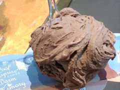 -野人牧坊Gelato(天津南开大悦城店)