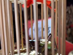 -王婆炒鱼(总店)