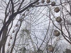 -食膳公园包子铺(烈士公园店)