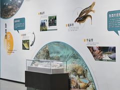 -浙江自然博物院(杭州馆)
