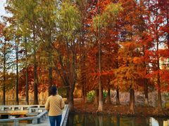 -白塘生态植物园