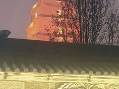 -大雁塔北广场音乐喷泉