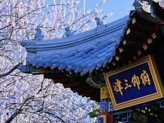 -桃花堤公园