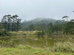 -海南热带雨林国家公园吊罗山景区