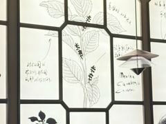 -美奈小馆·越南料理(福田星河COCO Park店)