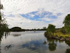 -杭州湾海上花田景区
