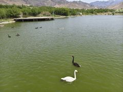 -新疆天山野生动物园