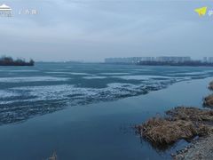 -丁香湖公园