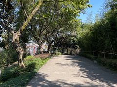 -大渡口区义渡公园