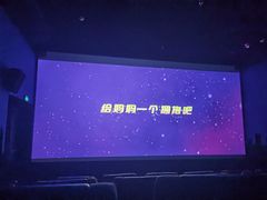 -新影联·华谊兄弟影院(望京店)