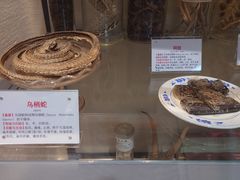 -广东中医药博物馆