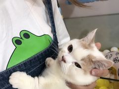 -浣熊柯尔鸭土拨鼠·电玩咖