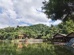 -西双版纳原始森林公园